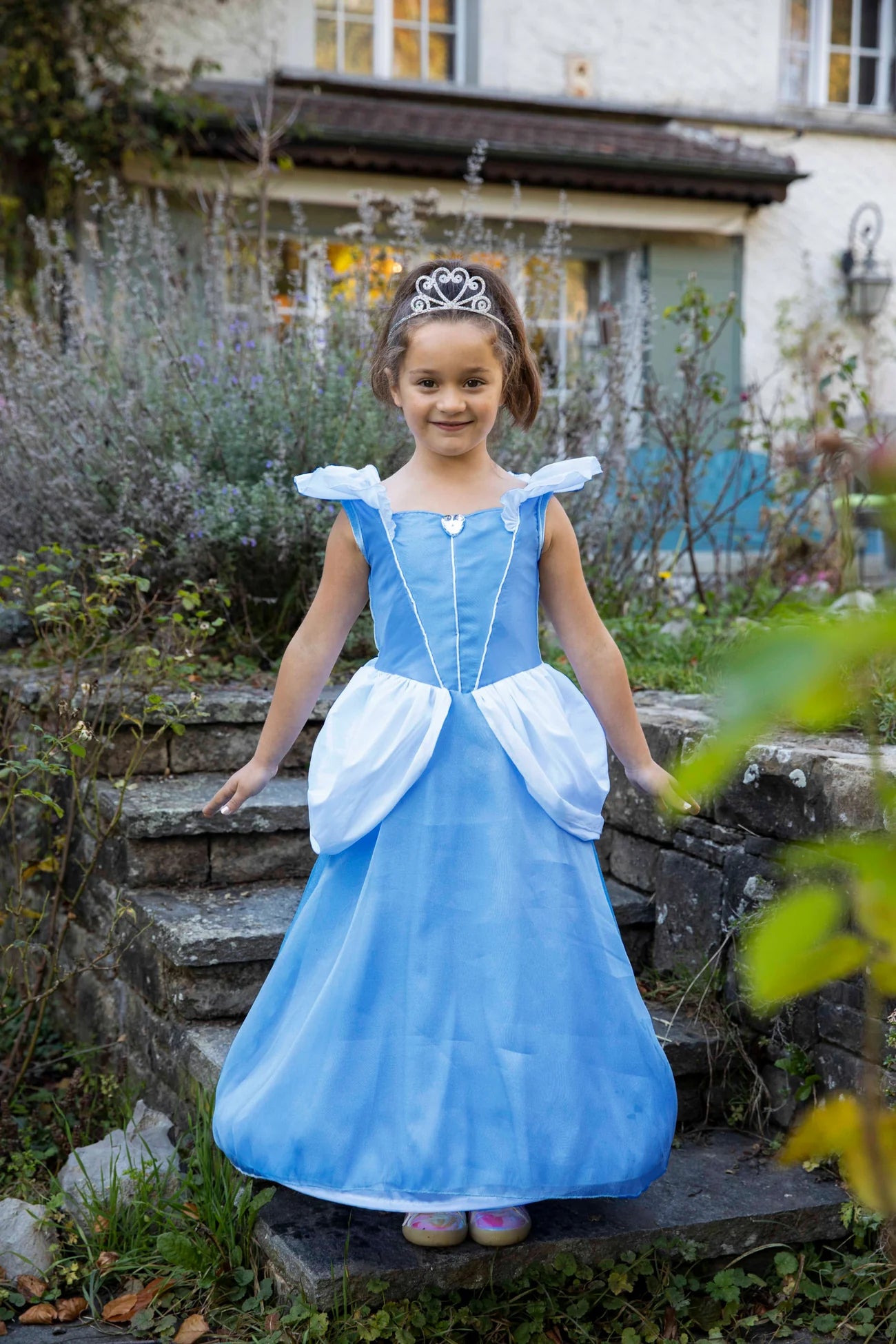 Boutique Cinderella Gown
