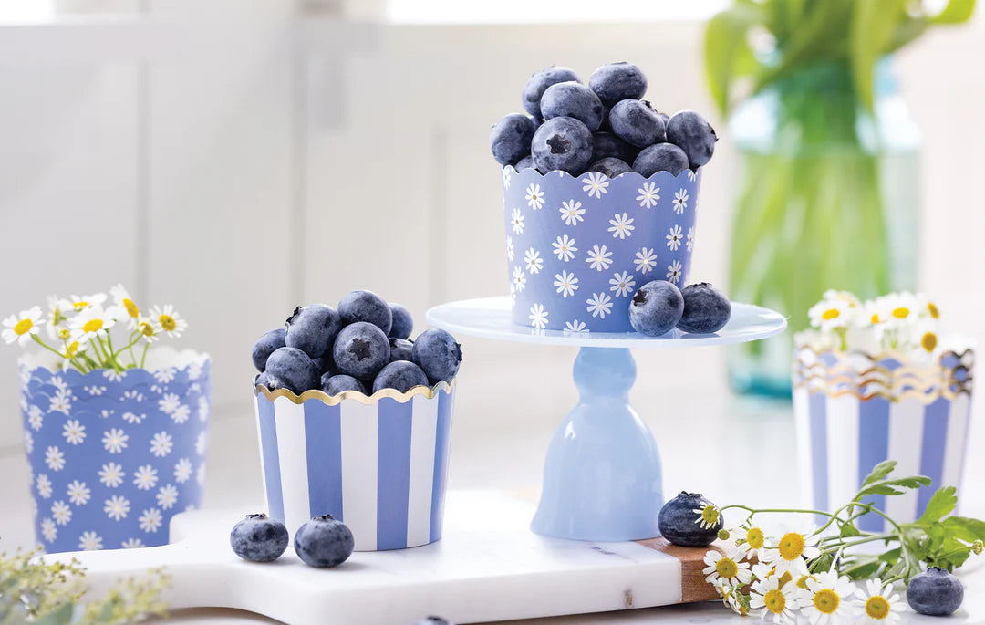 Blue Daisy Stripe Foiled Baking Cup