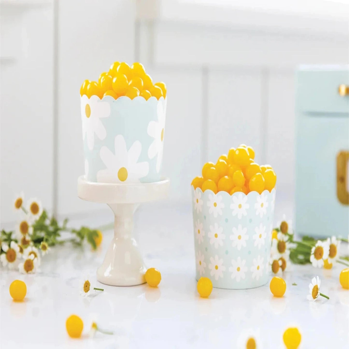 Daisy Baking and Treat Cups