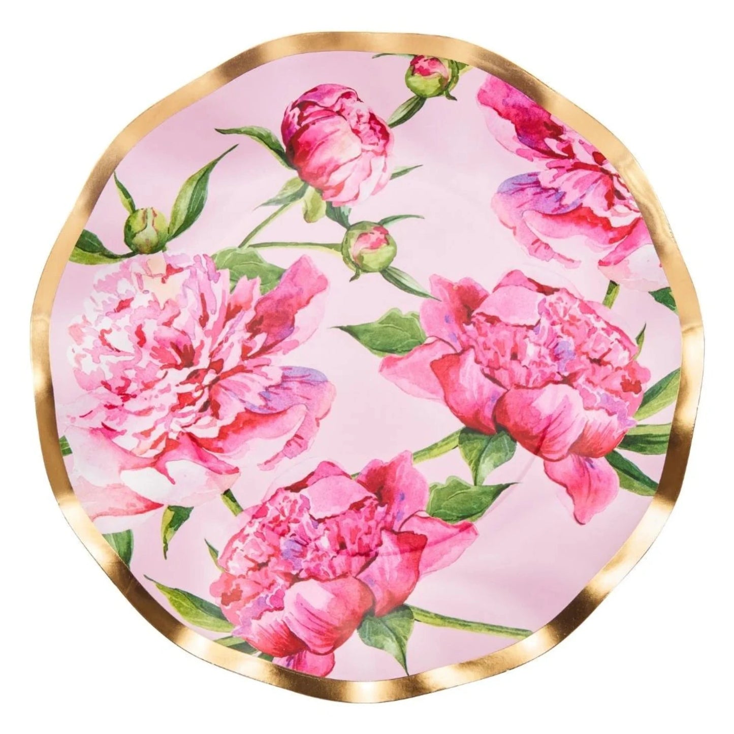 Dinner Plate Pink Peonies