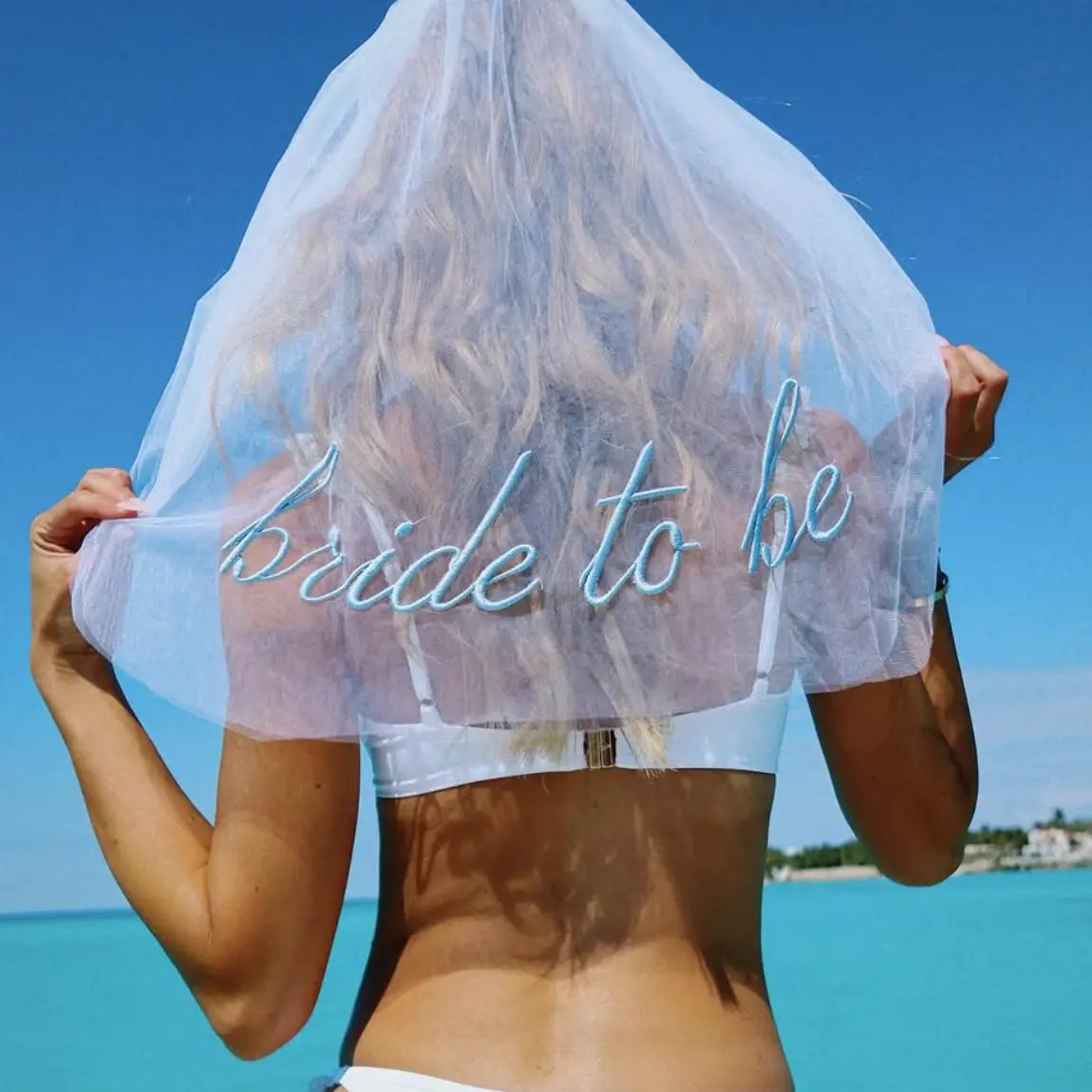 Bride To Be Blue Embroidered Veil