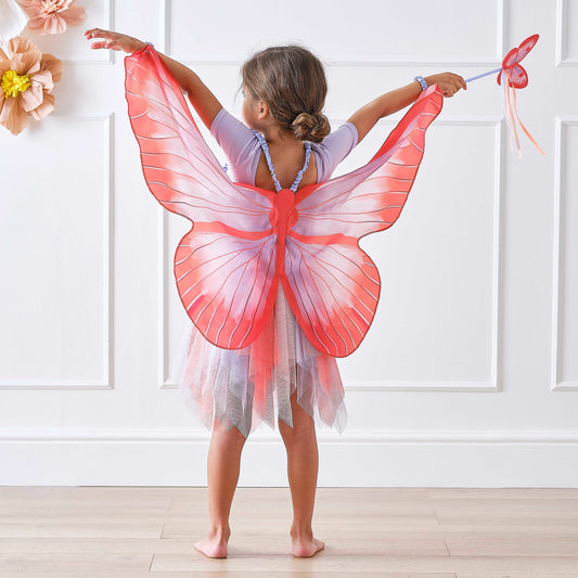 Red and Lilac Butterfly Wing