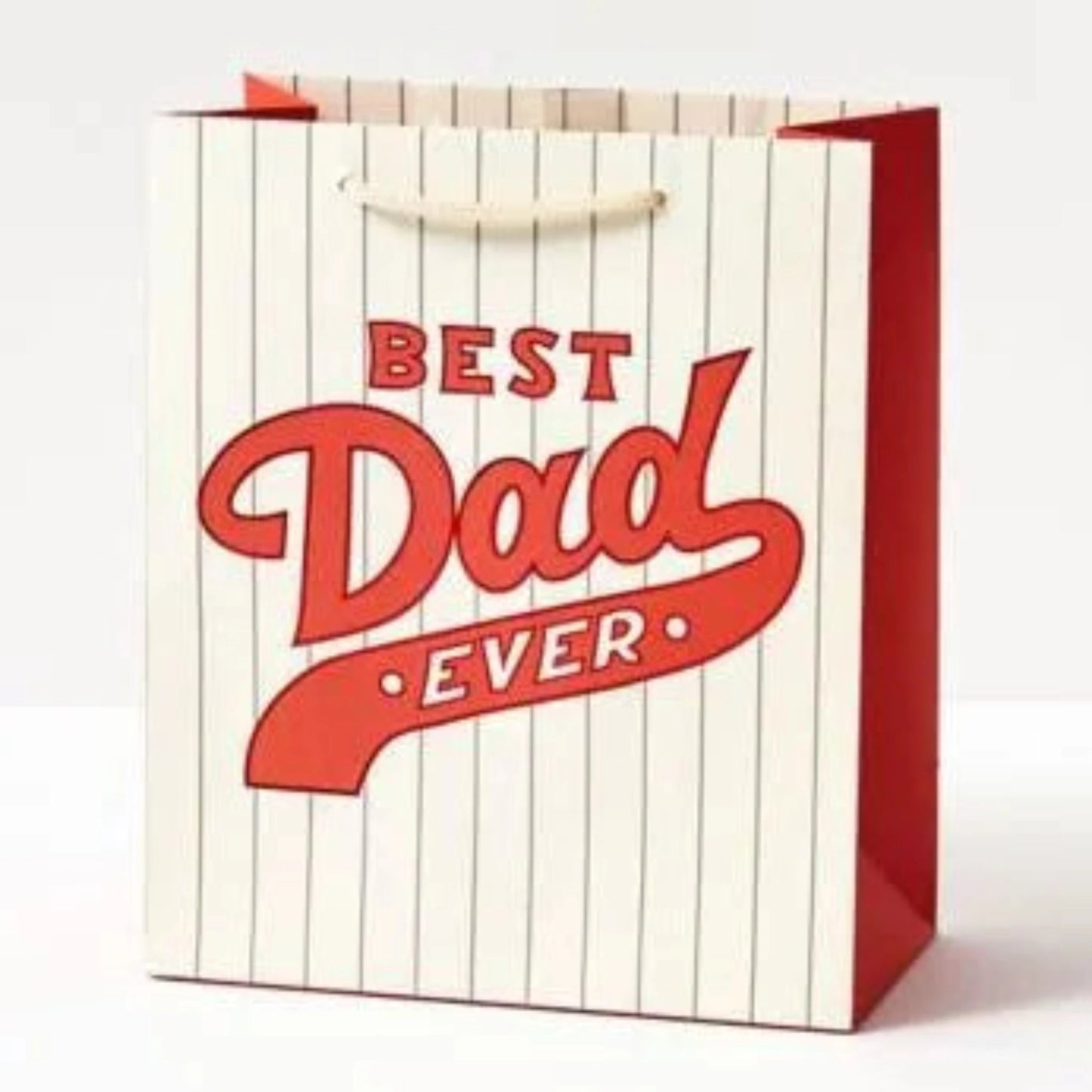Best Day Ever Baseball Gift Bag - Mediu