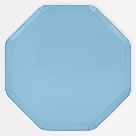 Blue Dinner Plates
