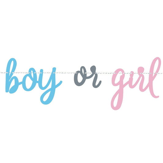 Banner (Boy or girl)