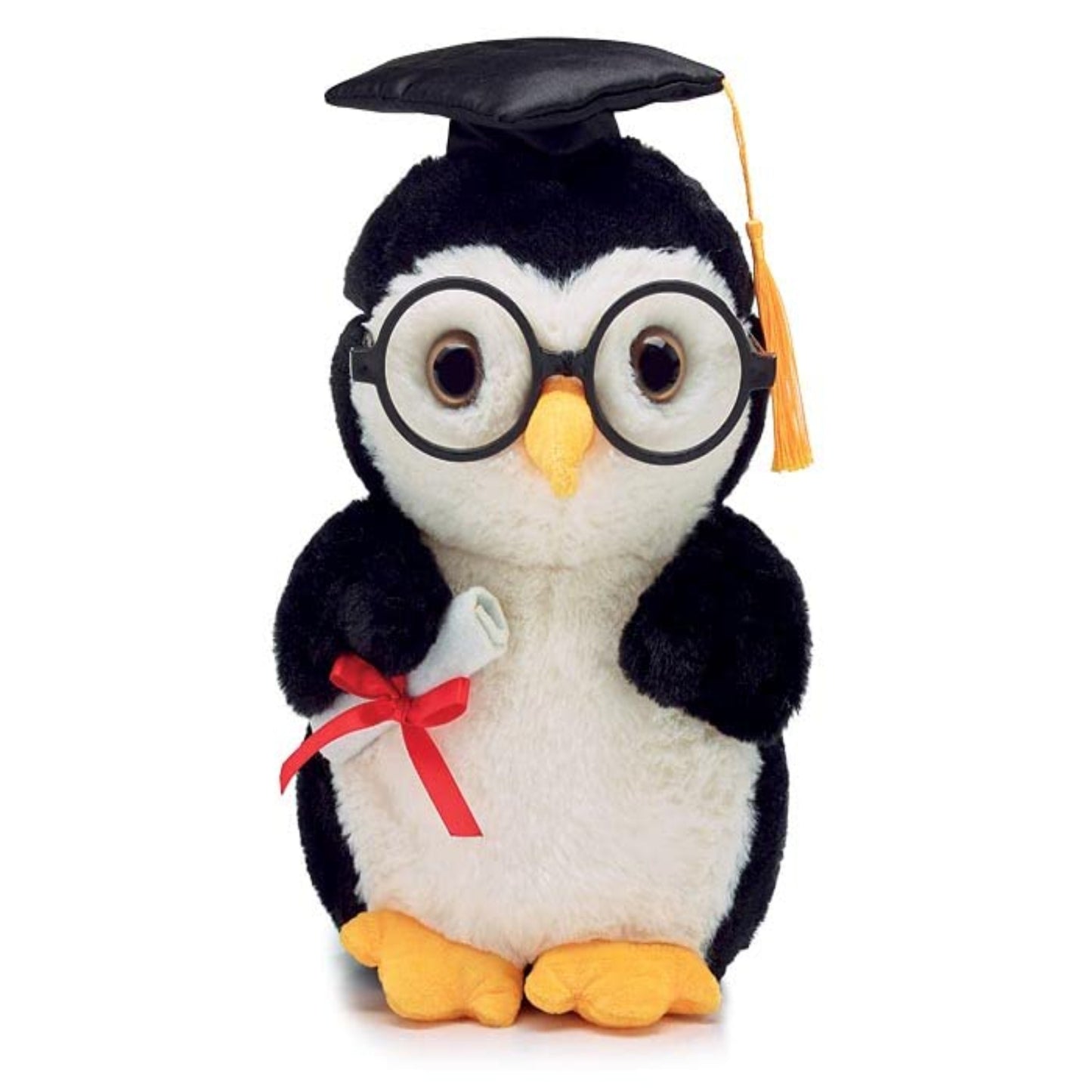 Graduation Owl with Round Eyes Glasses