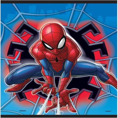 Bolsas de botín de fiesta de Spider-Man