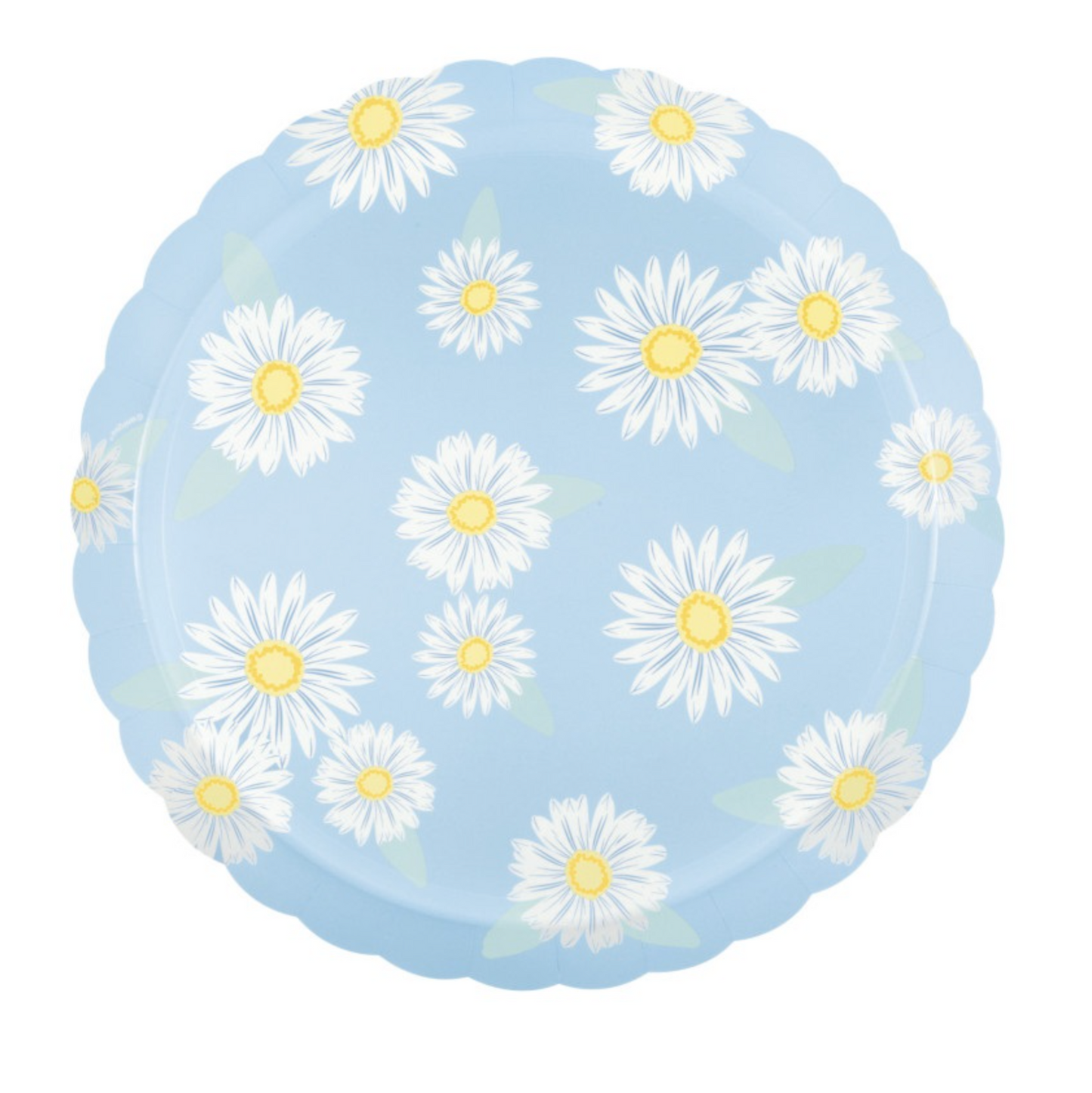 Fresh Daisy Scalloped Edge 10" Dinner Plates