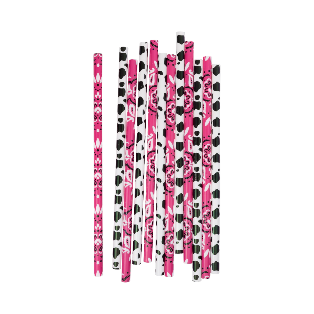 Cowgirl Reusable Straws Regular price