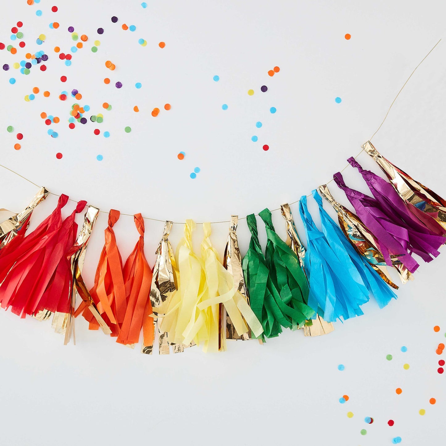 Gold Foil and Rainbow Tassel Garland