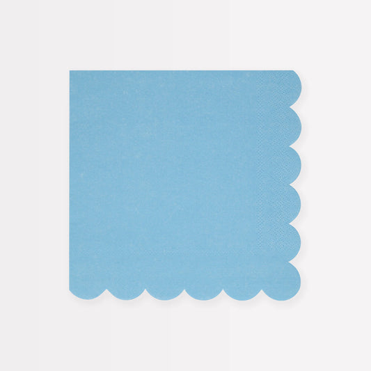 Blue Large Napkins