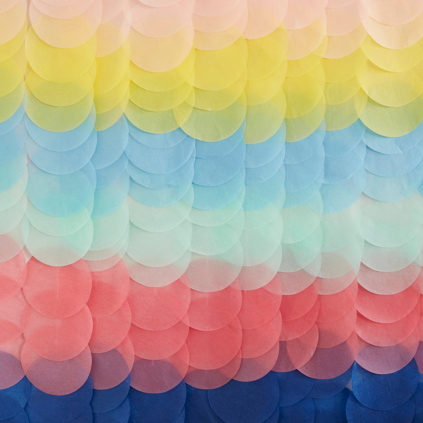 Rainbow Tissue Paper Disc Party Backdrop